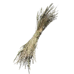 Hay