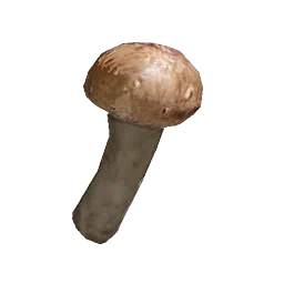 Pine Mushroom