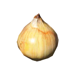 Onion