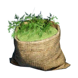 Parsley