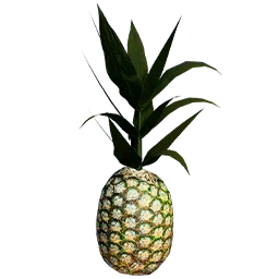 Pineapple