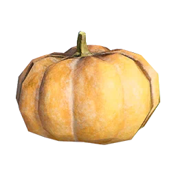 Pumpkin