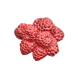 Raspberry