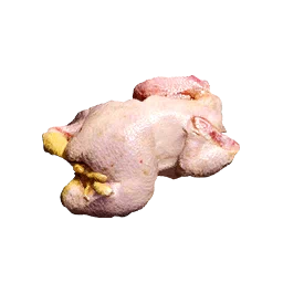 Lean Bird Meat