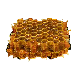 Bienenwaben