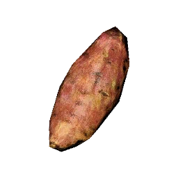 Sweet Potato