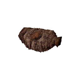Taro