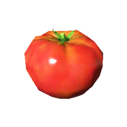 Tomato