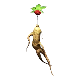 Red Ginseng
