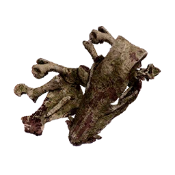 Large Bone