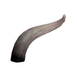 Avorio