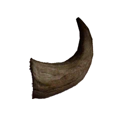 Short Horn