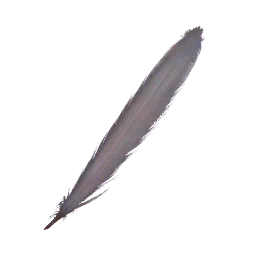 Piuma