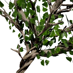 Branche d'arbre spirituelle