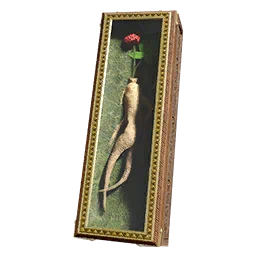 Ginseng rosso confezionato