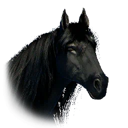 Rokade