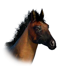 Numont