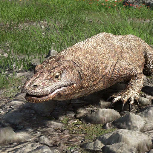 Monitor Lizard
