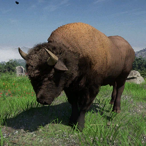Bisonte
