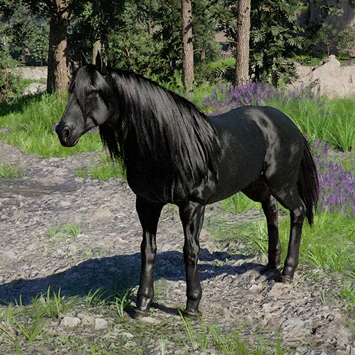 Rokade