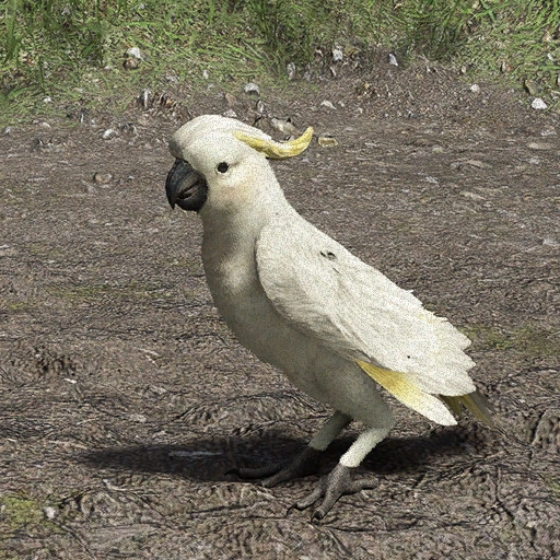 Creature Parrot Crimson Desert Creatures Knowledge: Parrots