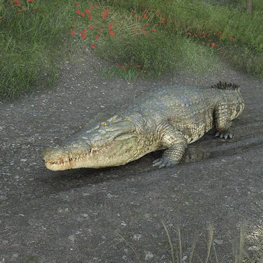 Crocodile