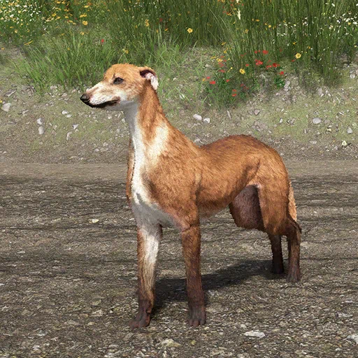 One-Eyed Jackal Warhound
