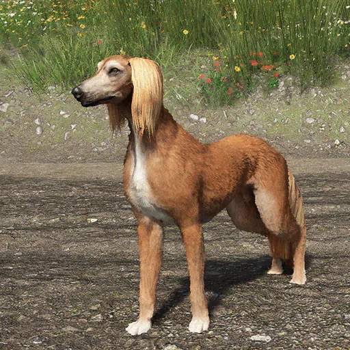 Saluki da guerra delle Frecce di ferro