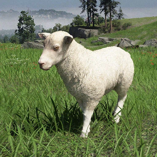 Schaf