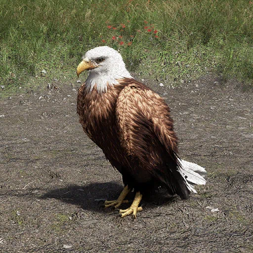Águila