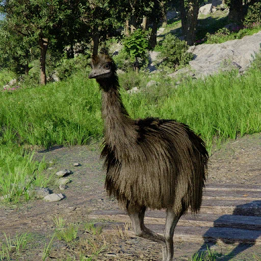 Emú
