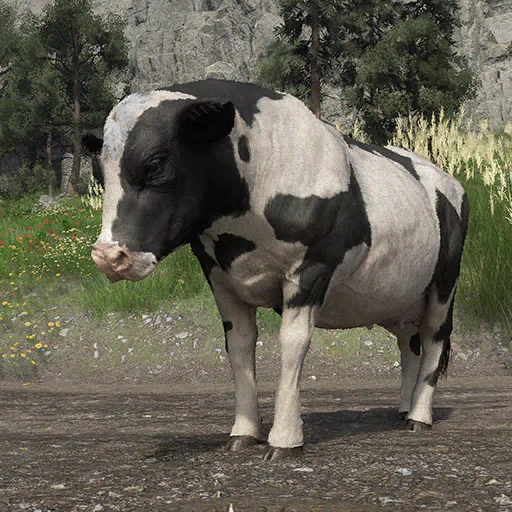 Mucca da latte