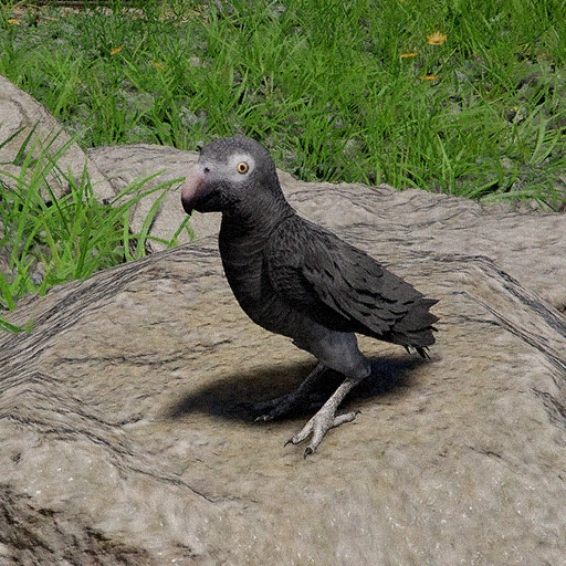 Creature Parrot Crimson Desert Creatures Knowledge: Parrots
