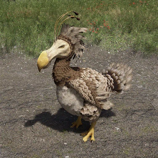 Pájaro kuku alfa