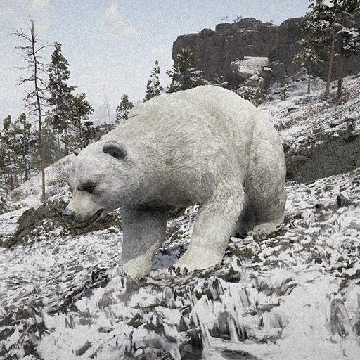Oso blanco de escarcha