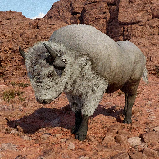 White Bison