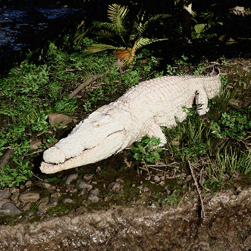 White-Scaled Crocodile