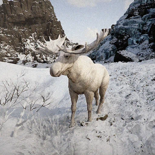 Alce blanco