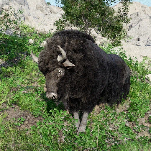 Bisonte de pelo largo