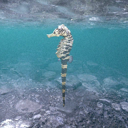 水の生き物 水の生き物 (ニューワイド学研の図鑑) | 正倫, 武田 |本 | 通販 | Amazon