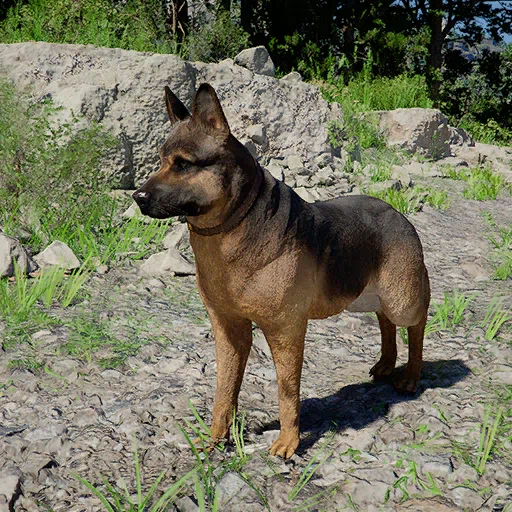 Shepherd - Crimson Desert Cats and Dogs