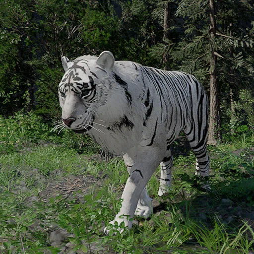 Tigre bianca