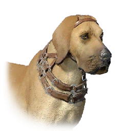 Guard Dog Boarhound