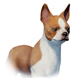 Pointy-Eared Bulldog
