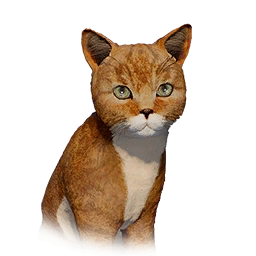 Yellow Cat