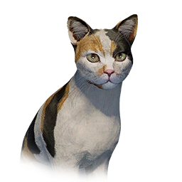 Patchy Cat