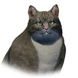 Loafy Cat