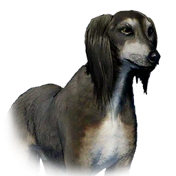 Салюки