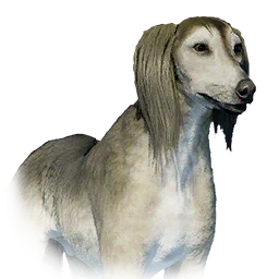 サルーキ