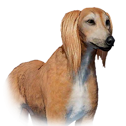 Салюки